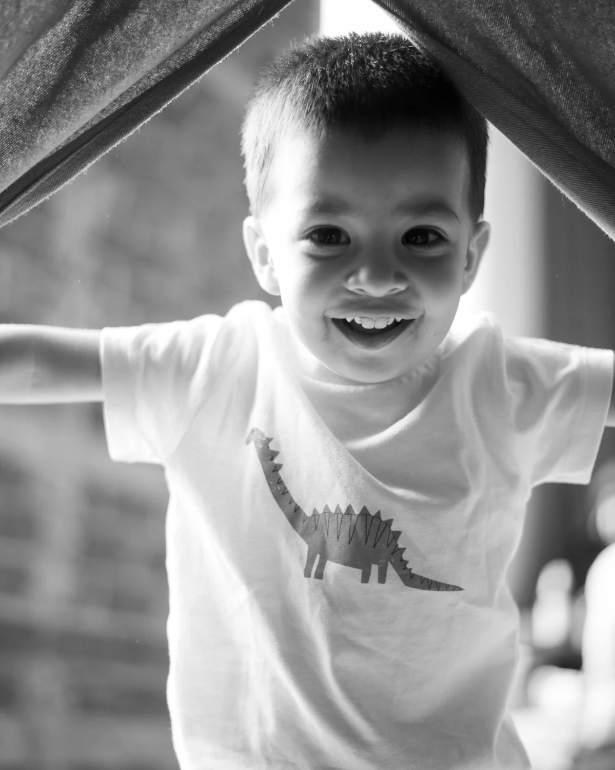 Tent attachment for Transformable Pikler Triangle - Image 14