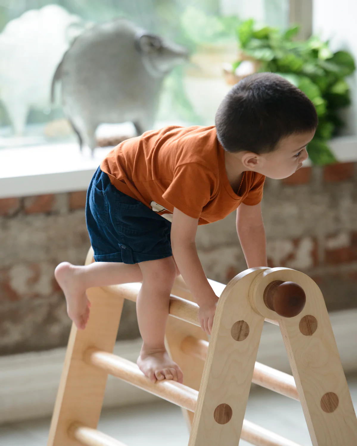 Bloon Pikler MAX (Transformable Pikler Triangle) Jungle Gym - Image 14