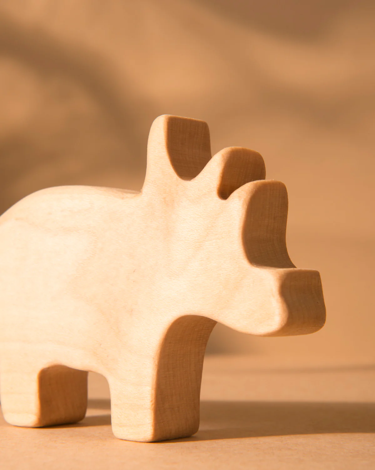 Paleontoys (Wooden Dinosaur Toys) - Full Set - Image 11